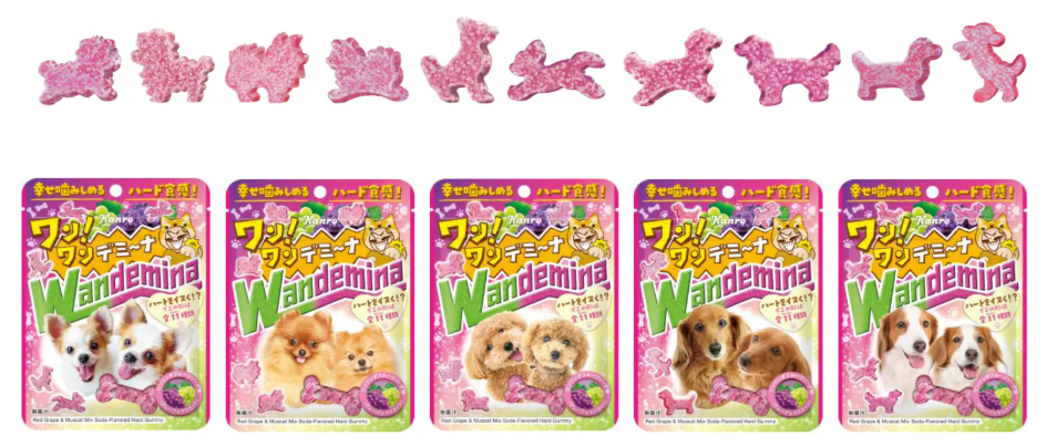 ワンワンデミーナグミはコンビニで買える?