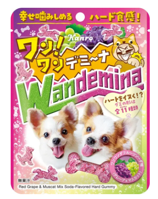 ワンワンデミーナグミはスーパーで買える?